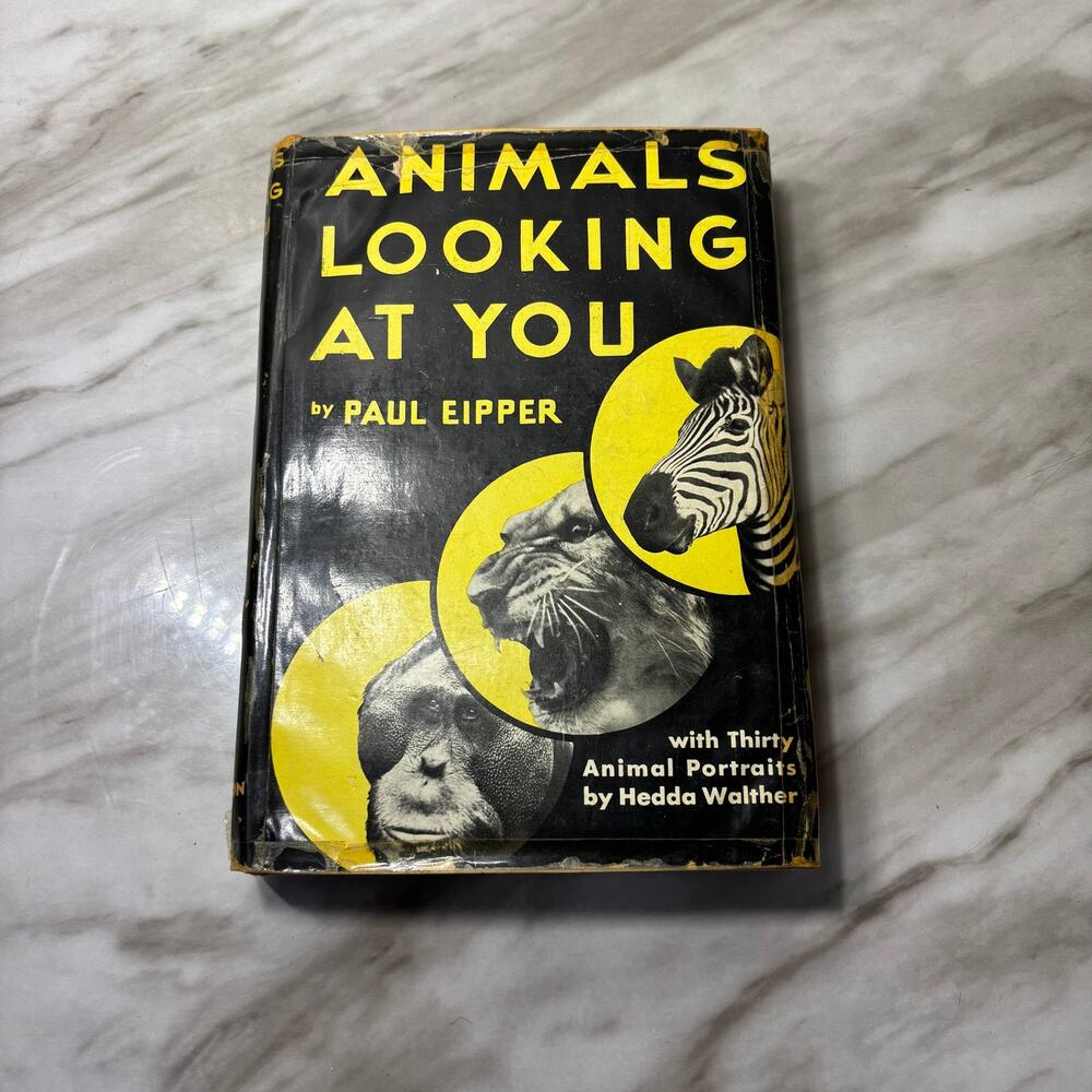 Vintage Animals Looking at You Hardcover Paul Eipper Hedda Walther